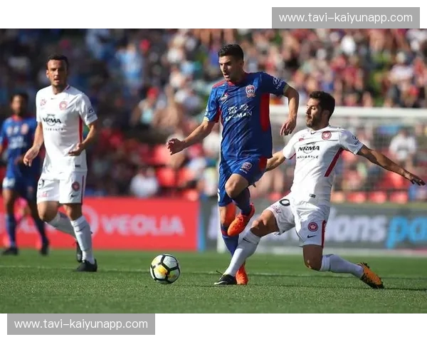 绿茵回响：诺维奇与查尔顿的荣耀与征途